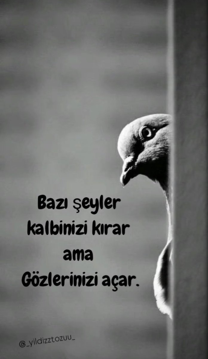 Pure Dream (@ruyalargibiiz) on Twitter photo 