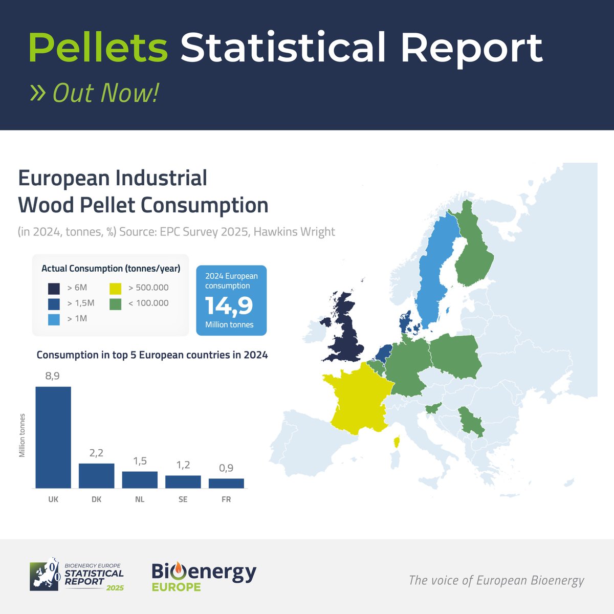 📊 Europe’s industrial pellet use hit 14,9M tonnes in 2024!
🔼 UK &amp; Denmark rebound
📈 France sees strong growth
🇸🇪 Sweden stable
🇳🇱 Netherlands uncertain
📥 Get the key trends in the new Pellets Report 2025:
👉 bioenergyeurope.org/statistical-re…
#Bioenergy #WoodPellets #EnergyTransition
