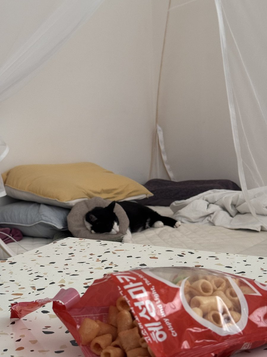 집에서 어랜만에 쉬는 날 나는 뻥튀기와 맥주를 마시면서 너에겐 애드보킷을 해주어 참 미안하다 🙄 그치만 해야되는고야 좋은고야 필요한고야 .. !