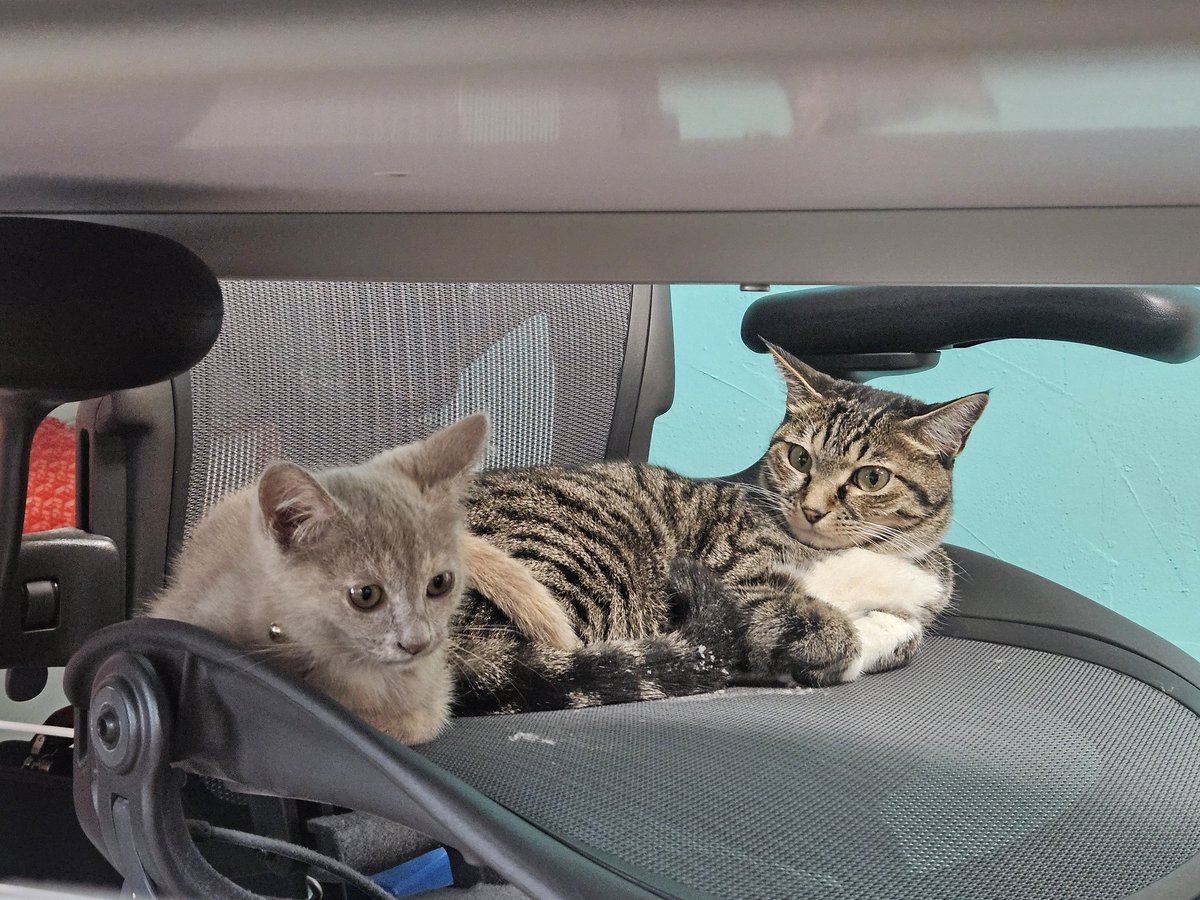 実は一緒にいたいレト、ムカつきが止まらないニケ。
それより、椅子返して(´ω｀)