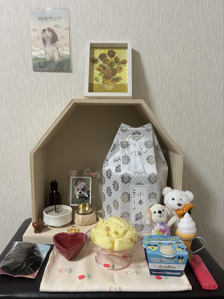 _20110321's tweet image. おいも蒸しパンまるまる１個🍠
おなかいっぱい食べるんだよ〜
なんともいえない犬ちゃんお迎えした🎀