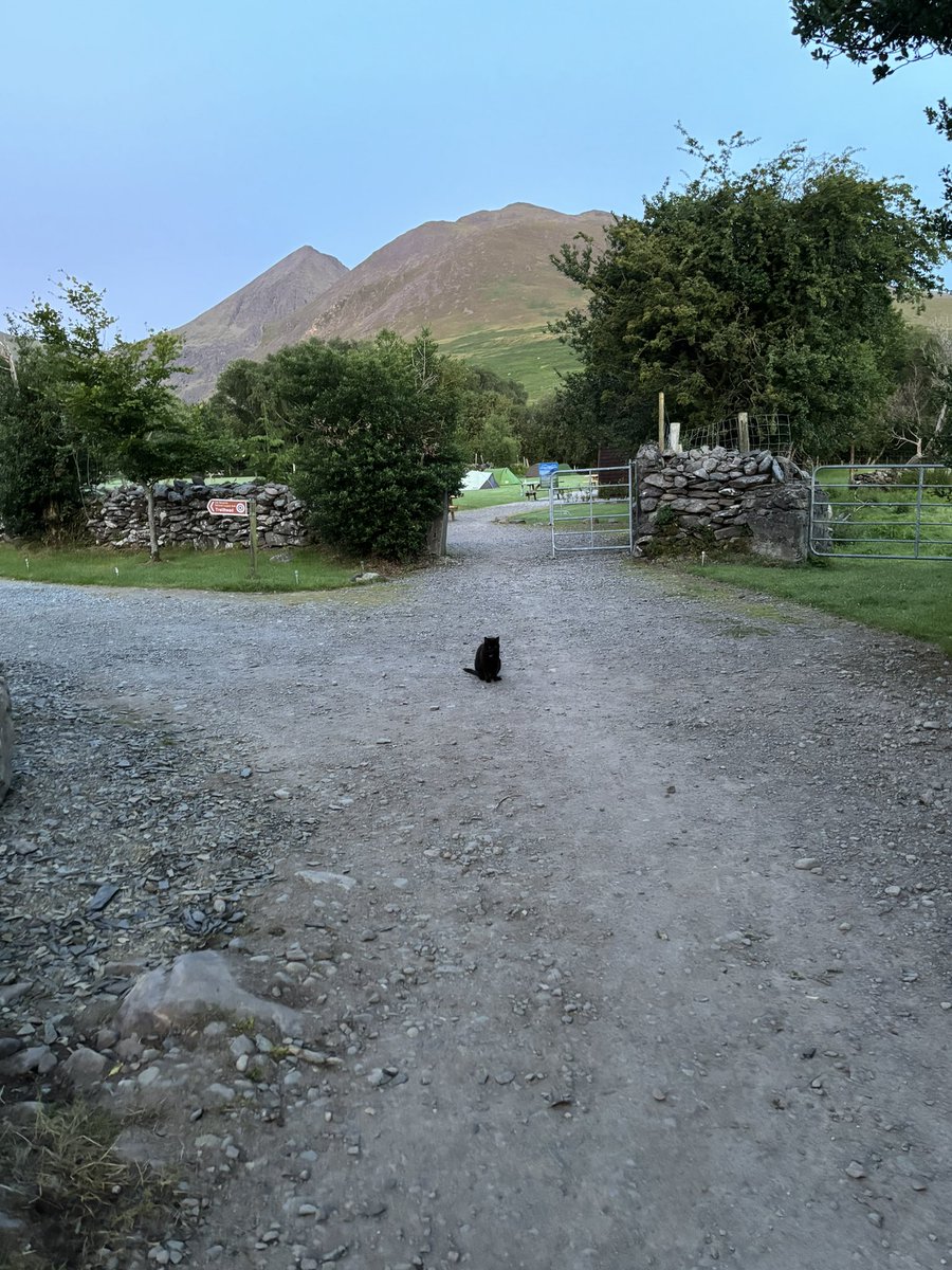 Made a friend at 5am