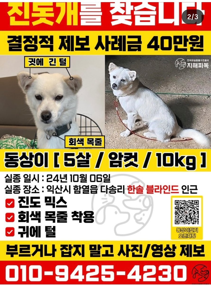 ๐ถ๊ฐ์กฑ์ฐพ๋์ค๐ถ ํ๋ณตํ ์
์ด tweet media