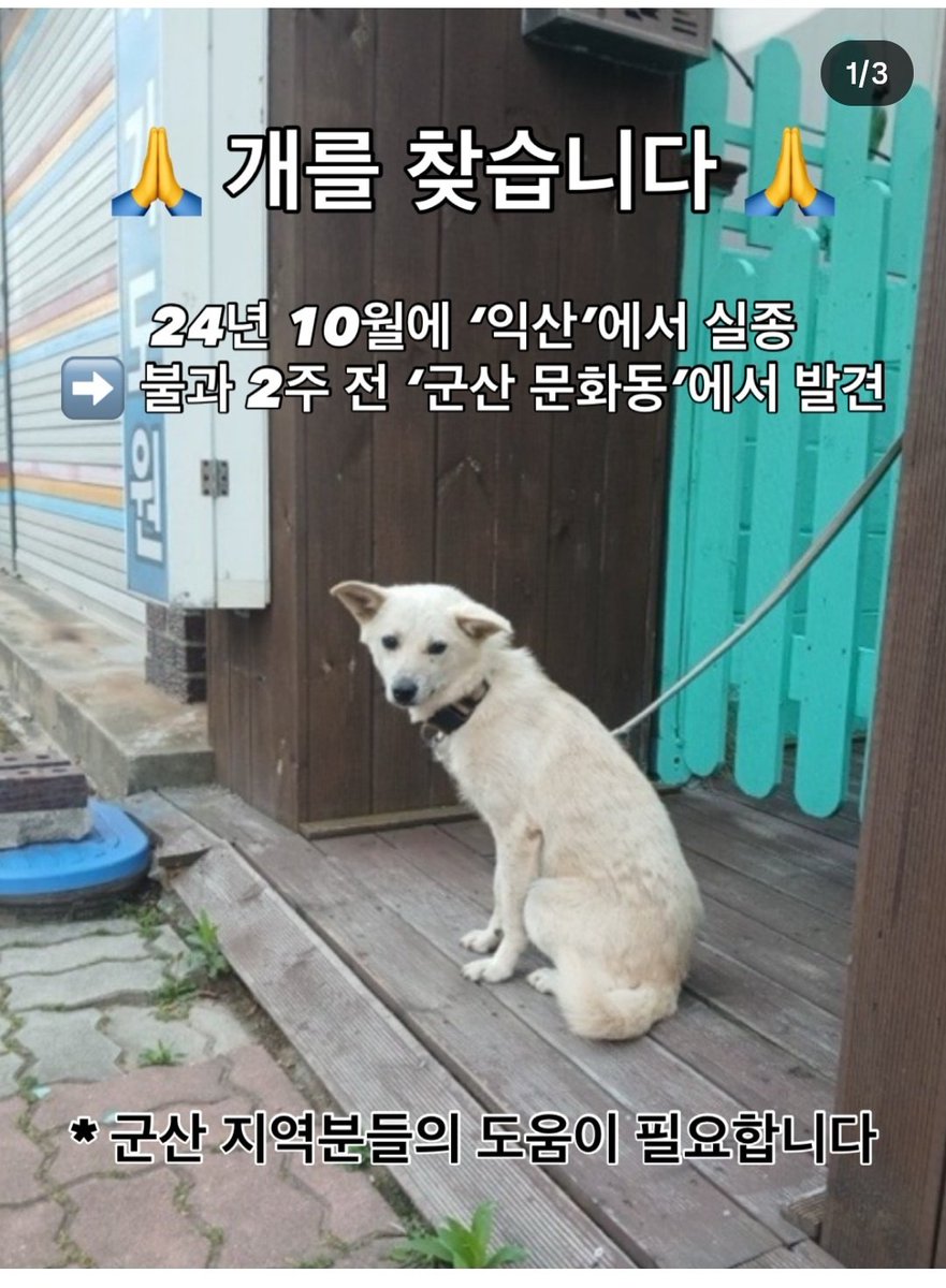 ๐ถ๊ฐ์กฑ์ฐพ๋์ค๐ถ ํ๋ณตํ ์
์ด tweet media