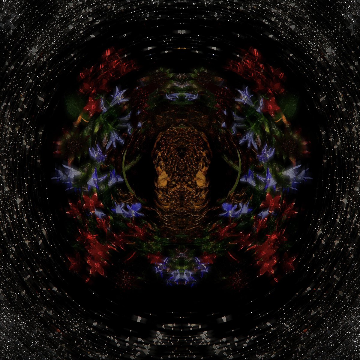 ahi_takuto's tweet image. Flower artworks 2025.
「Black Hole」
歪んだ花姿の美