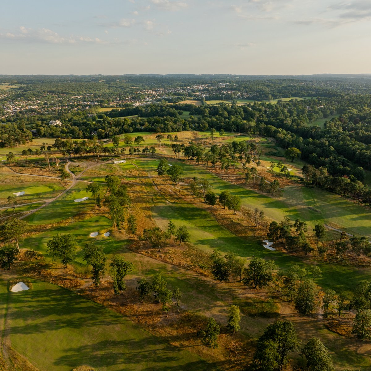 TheAddingtonGC's tweet image. Improved playing corridors have allowed the course to come alive with colour in summer.
Firm, green fairways are bordered by brown native areas, with purple heather soon to bloom as well.