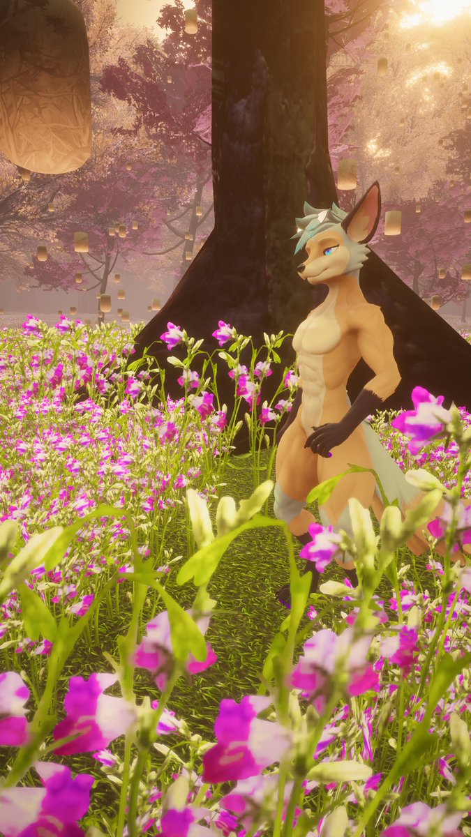 I hope to find someone to join me ☺️❤️