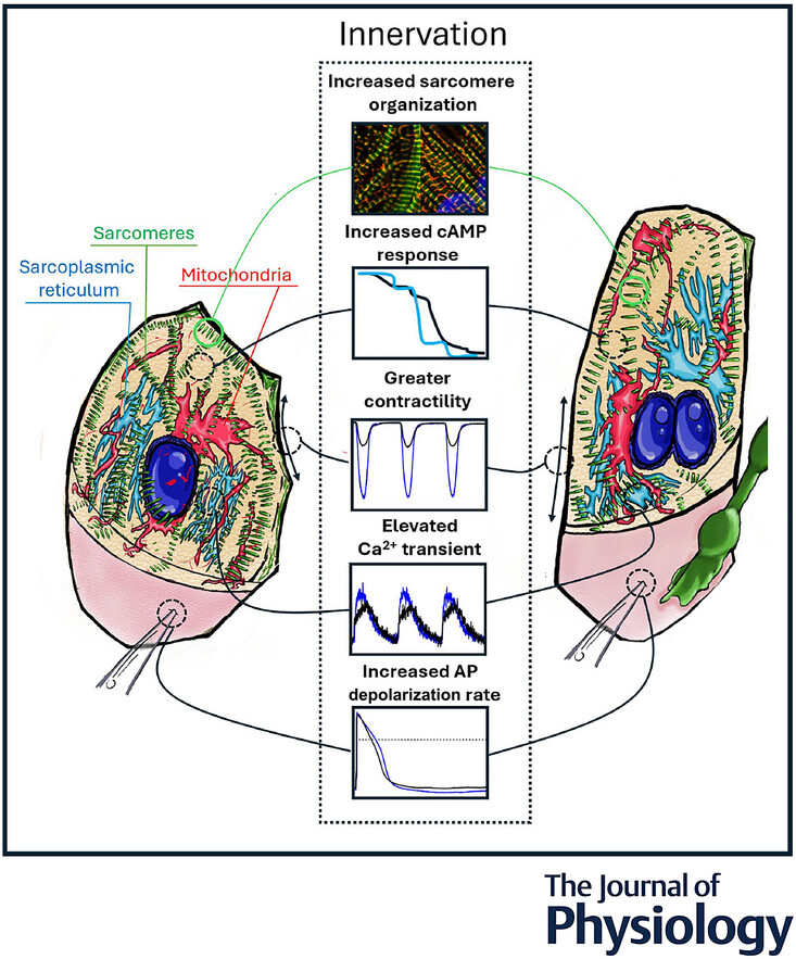 IonOptix tweet media