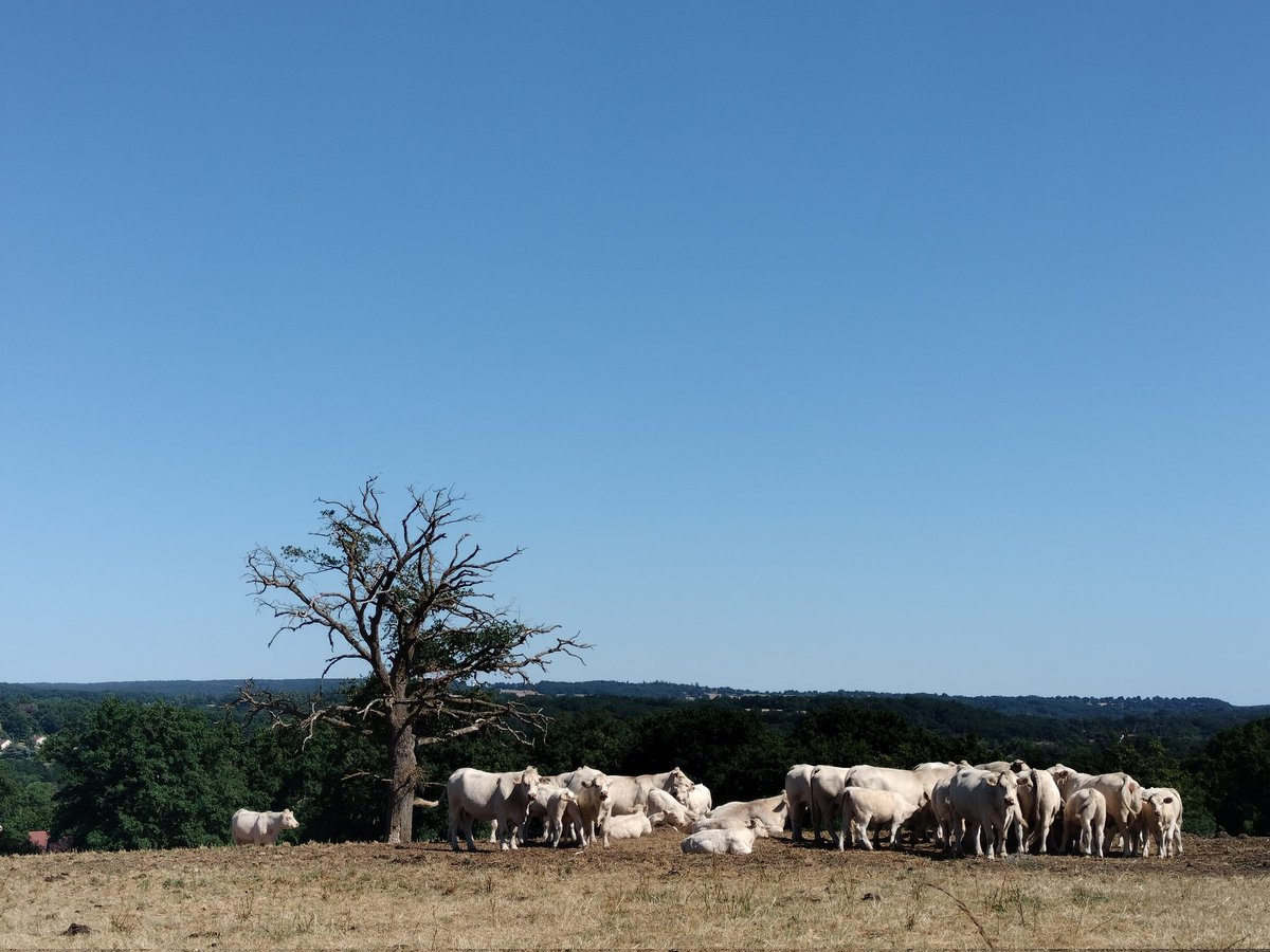 Sec, le far-west bourbonnais !