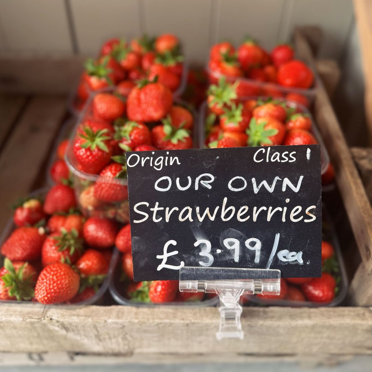 Sunshine and strawberries - what's not to like? 

We've got..
🍓Strawberries in the picking field 
🍓Strawberries in the cafe
🍓Strawberries in the shop

#CedarbarnStrawberries #PYOPickering #PickeringStrawberries #GoPickering #Deliciouslyorkshire