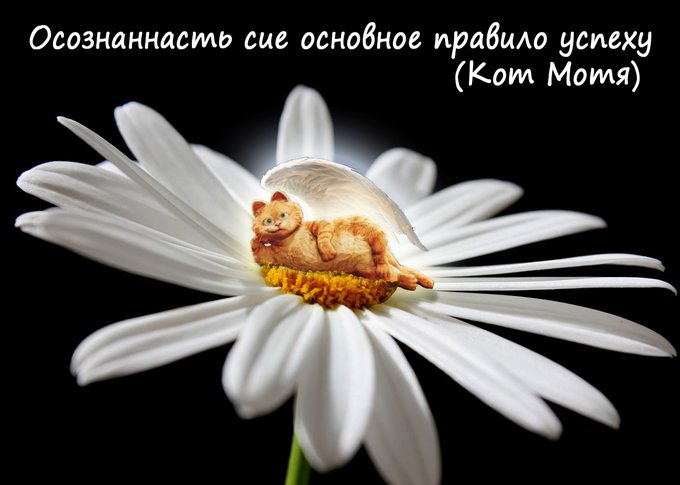 "ВЫ ЕСТЬ ВСЕГДА СЕЙЧАС." Кот Мотя