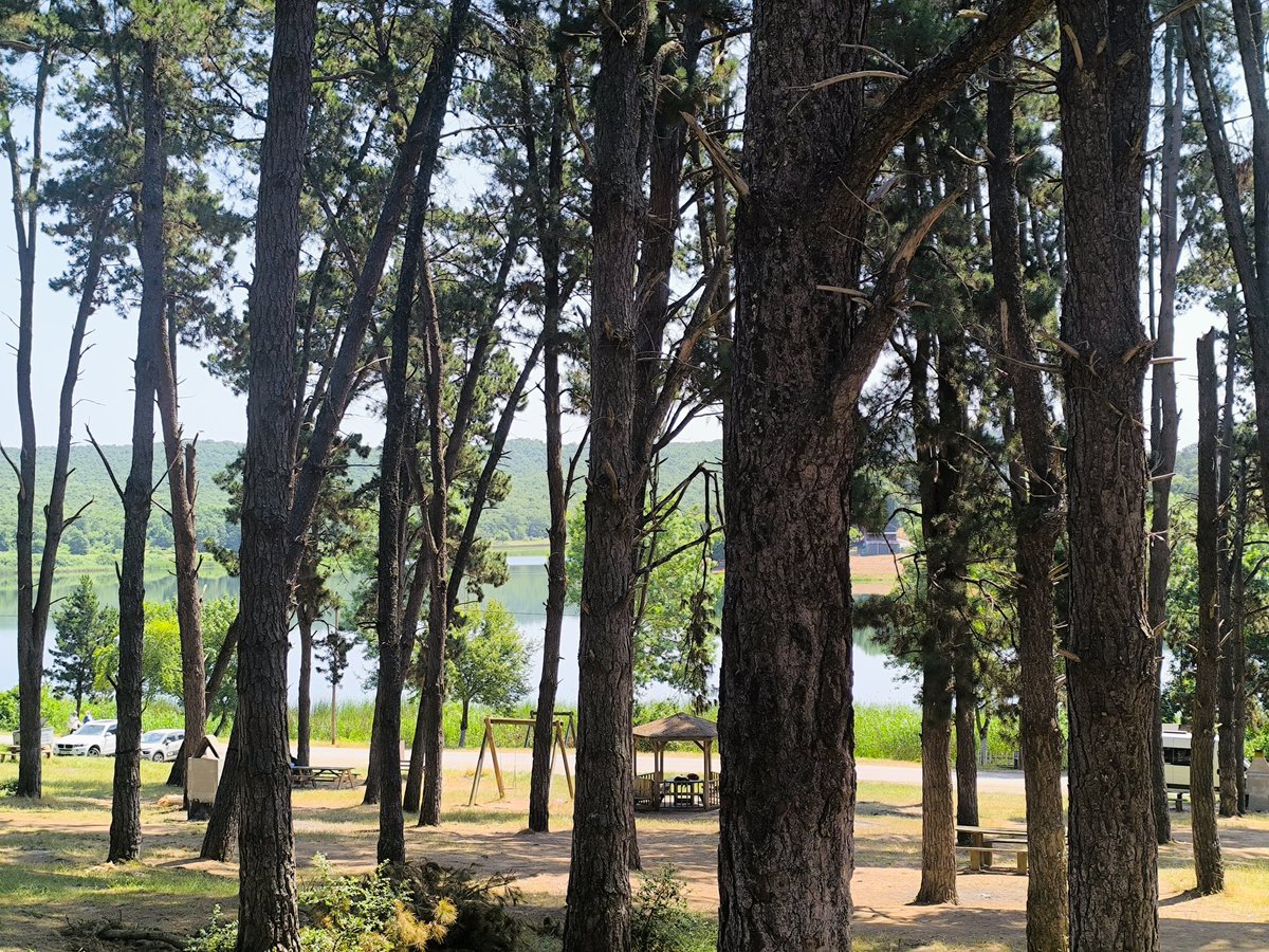 Bugün sessiz ve sakinlik günü 🥰