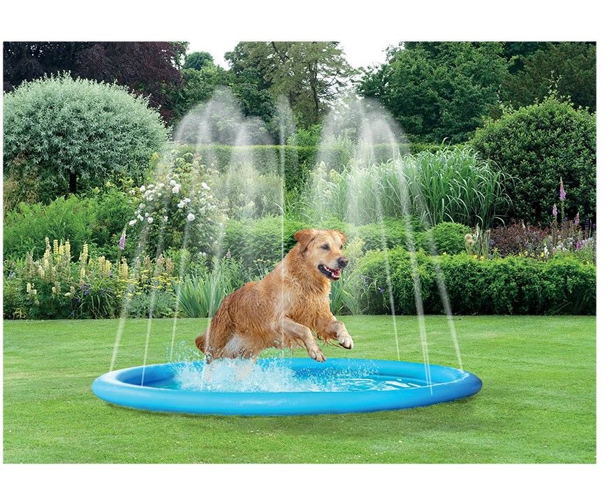 ShopWithKerry's tweet image. Is your pet ready for the incoming heatwave? 

Don’t worry, we’ve got you covered - and they’ll LOVE the sprinkler!!

Sprinkler - kerry.vivamknetwork.co.uk/pet-sprinkler-…

Cooling mat - kerry.vivamknetwork.co.uk/pawprint-pet-c…

Pop up shelter - kerry.vivamknetwork.co.uk/pet-pop-up-sun…

@highlight
#BeatTheHeatwave
#petlovers