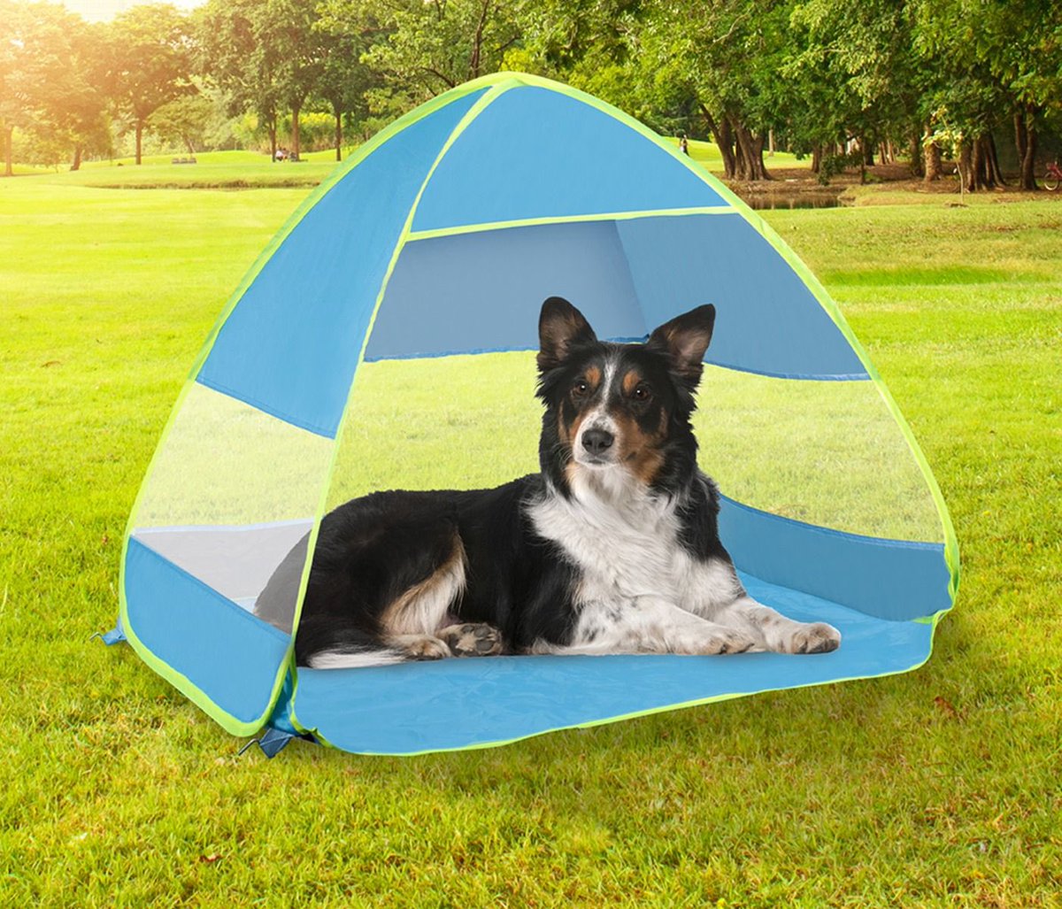 ShopWithKerry's tweet image. Is your pet ready for the incoming heatwave? 

Don’t worry, we’ve got you covered - and they’ll LOVE the sprinkler!!

Sprinkler - kerry.vivamknetwork.co.uk/pet-sprinkler-…

Cooling mat - kerry.vivamknetwork.co.uk/pawprint-pet-c…

Pop up shelter - kerry.vivamknetwork.co.uk/pet-pop-up-sun…

@highlight
#BeatTheHeatwave
#petlovers