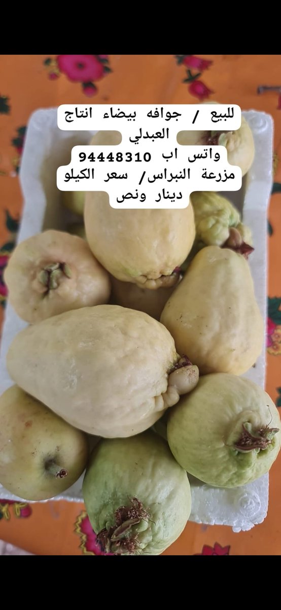 #مزارع_العبدلي
#الامن_الغذائي
#المنتجات_الكويتيه
#الكويت
#المنتج_المحلي
#فيصل_الزعبي
<a href="/paaf_kwt/">الهيئة العامة لشئون الزراعة والثروة السمكية</a>
<a href="/kuwaiti_kff/">الاتحاد الكويتي للمزارعين</a>