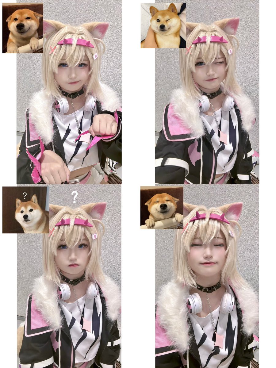 모두가 찰떡이라고 해주는 모코코
틱톡에만 올렸던 사진들