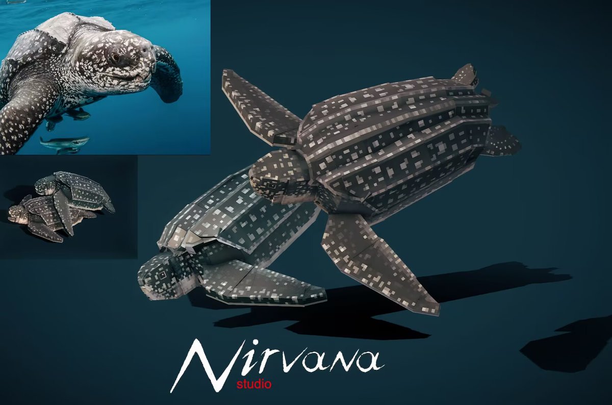 Nirvana Studio tweet media
