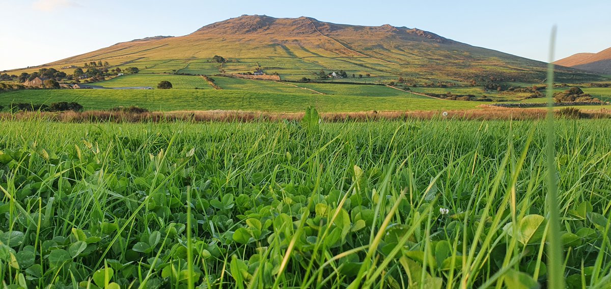 Oliver Seeds tweet media