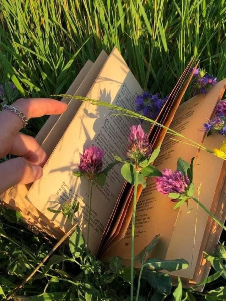 lucia davi (@davlucia) on Twitter photo Nei libri le parole degli autori,risuonano come un eco dentro di noi,perché già incise nella nostra anima #PensieriUnTweet
#CasaLettori
<a href="/CasaLettori/">Casa Lettori</a>
<a href="/ValyValentina58/">Valy🍓</a>
<a href="/PreziosaGemma/">gemma preziosa</a>
<a href="/RosannaAvella/">RosannaAvella</a> Nei libri le parole degli autori,risuonano come un eco dentro di noi,perché già incise nella nostra anima #PensieriUnTweet
#CasaLettori
<a href="/CasaLettori/">Casa Lettori</a>
<a href="/ValyValentina58/">Valy🍓</a>
<a href="/PreziosaGemma/">gemma preziosa</a>
<a href="/RosannaAvella/">RosannaAvella</a>