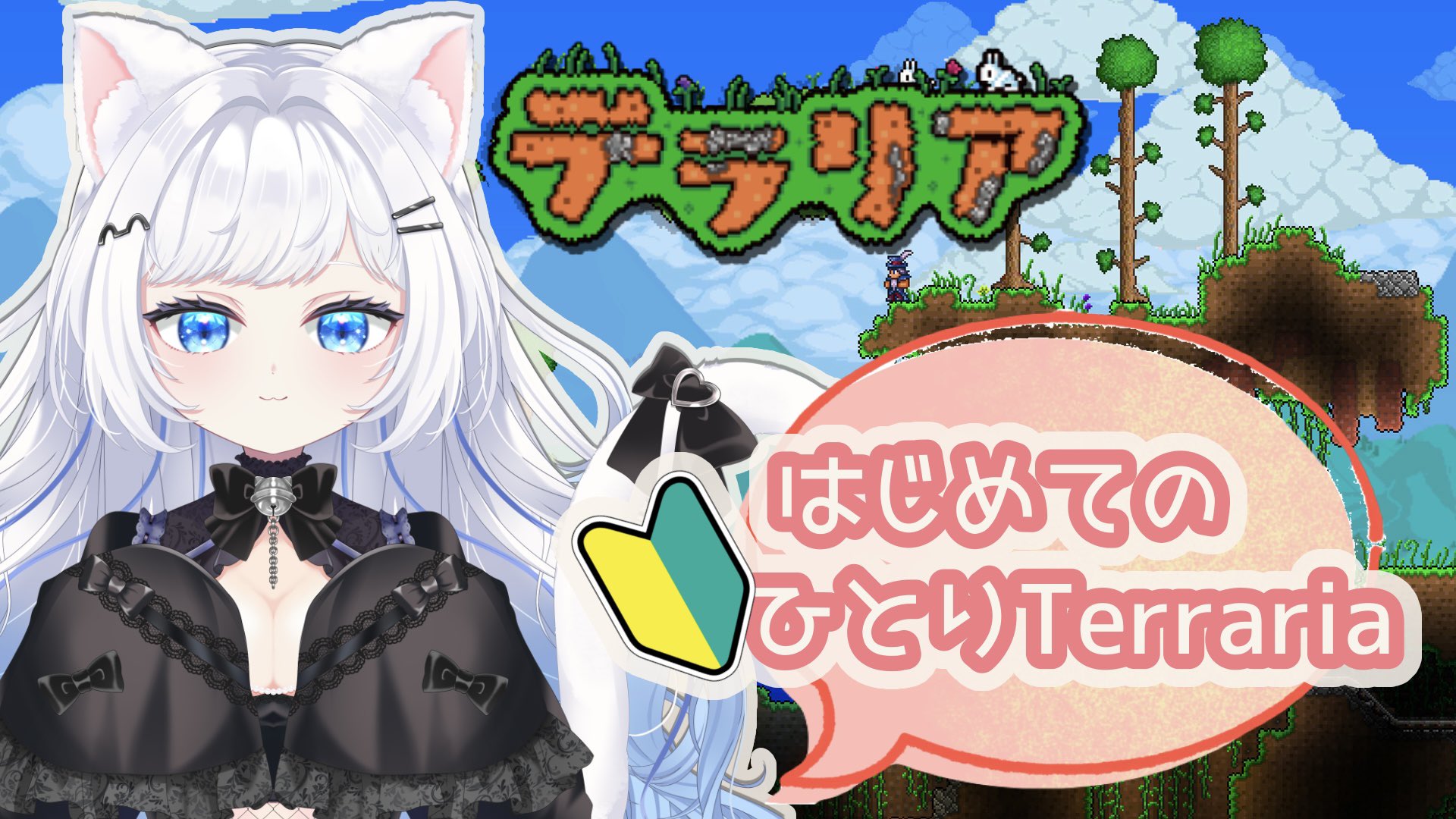 🩵さこくねこ/stray cat 🤍 on X: 