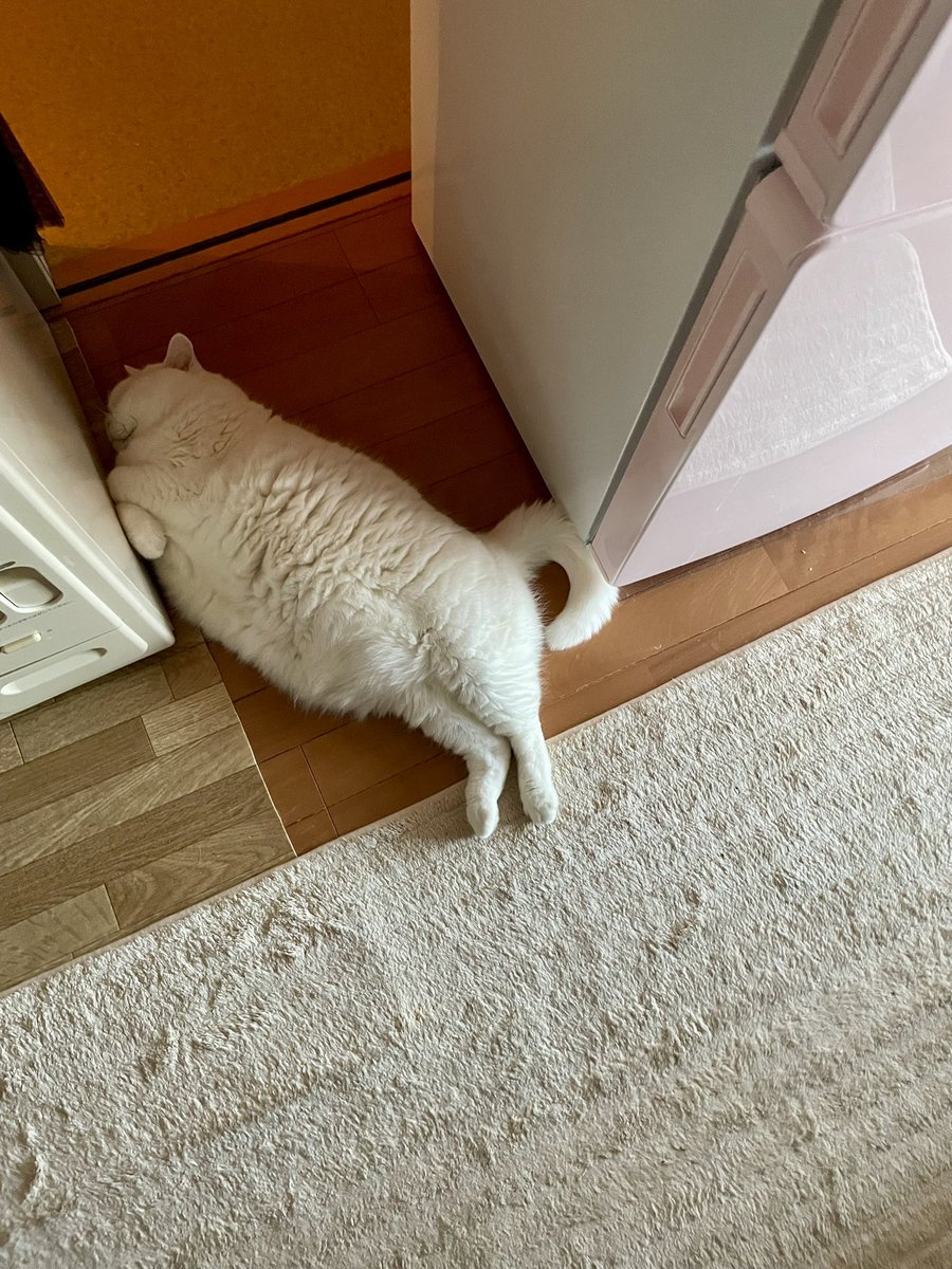 家族が利用頻度高めの通路です