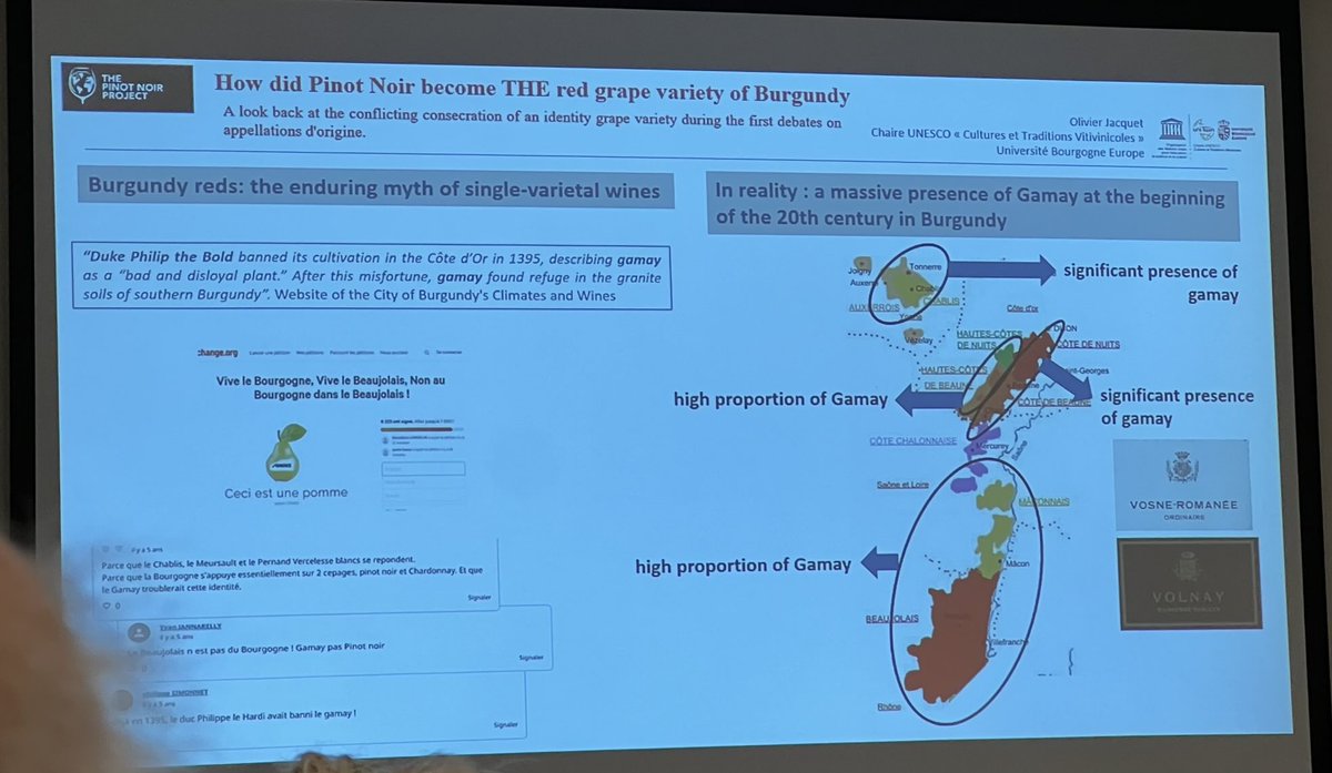 Reality of the ‚banned’ variety. Olivier Jaquet. 

#pinotnoirproject