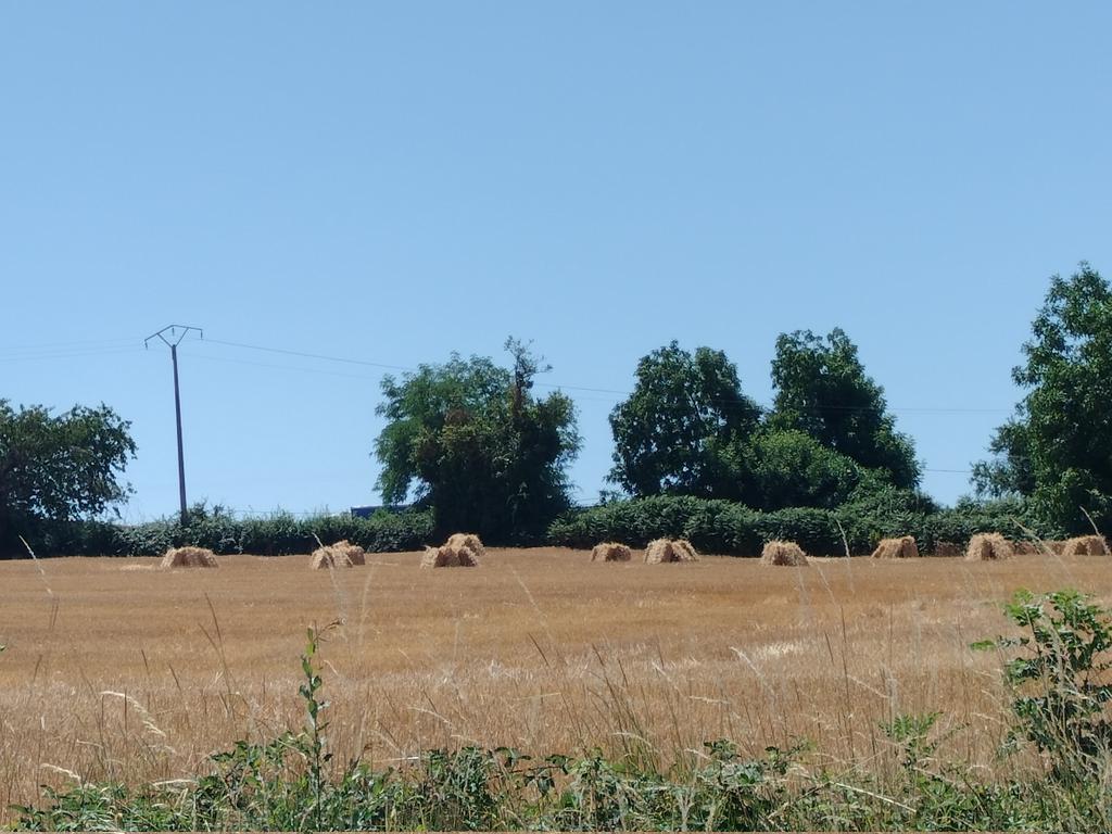 Nostalgie !! Mon dos et mes épaules s'en souviennent !