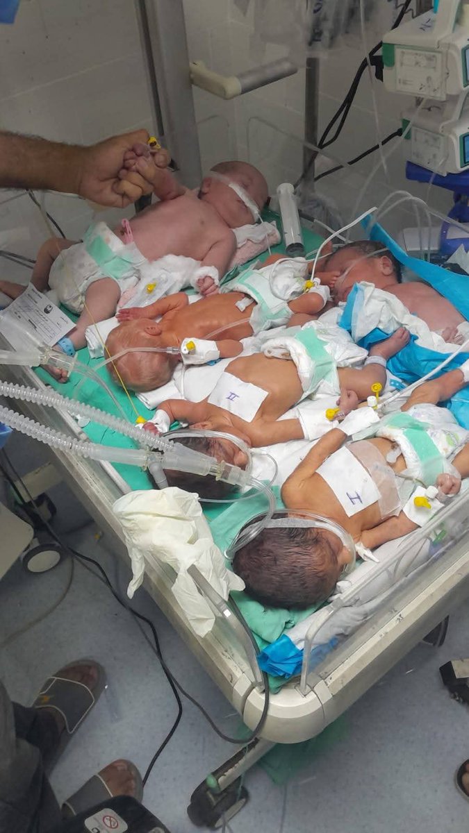 fnaim65's tweet photo. “This is the reality of our newborns in the neonatal intensive care units at Al-Shifa Hospital.
The Israeli occupation is blocking fuel from entering Gaza’s hospitals — putting these fragile premature babies at imminent risk if the generators stop working.
These tiny lives depend on electricity to breathe, to grow, to survive.
Without fuel, the incubators will shut down — and so will their chance at life.”

— Dr. Mohammed Abu Salmiya
Director General of Al-Shifa Medical Complex, Gaza