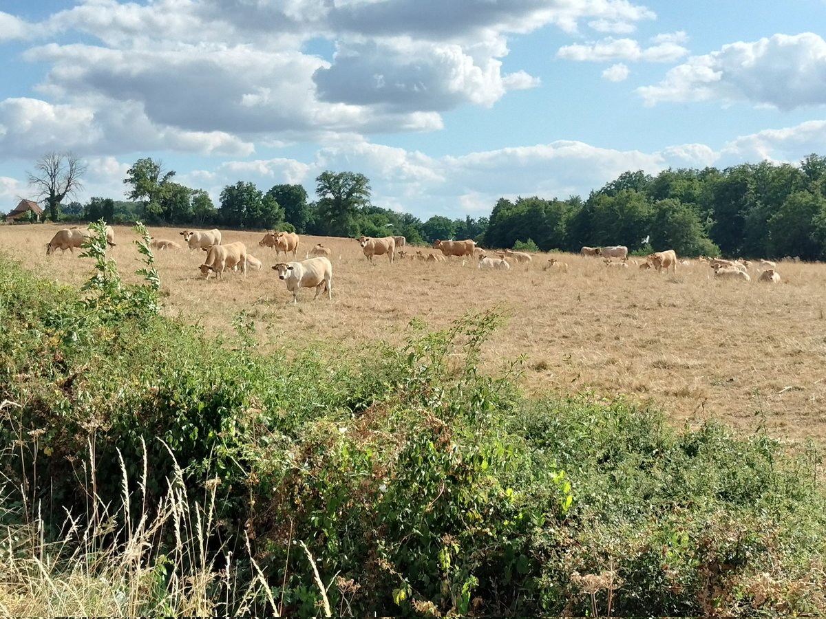 2,5 mois entre les photos du même lot au même endroit !