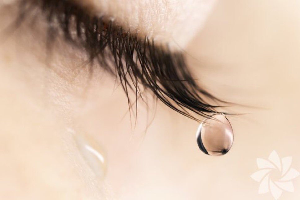 👨🏽‍🌾🇹🇷🇪🇭🕊️
             Biliyor musun ?…♥️

Gözümün ucundasın...👁️
         Damlarsa düşersin...💧