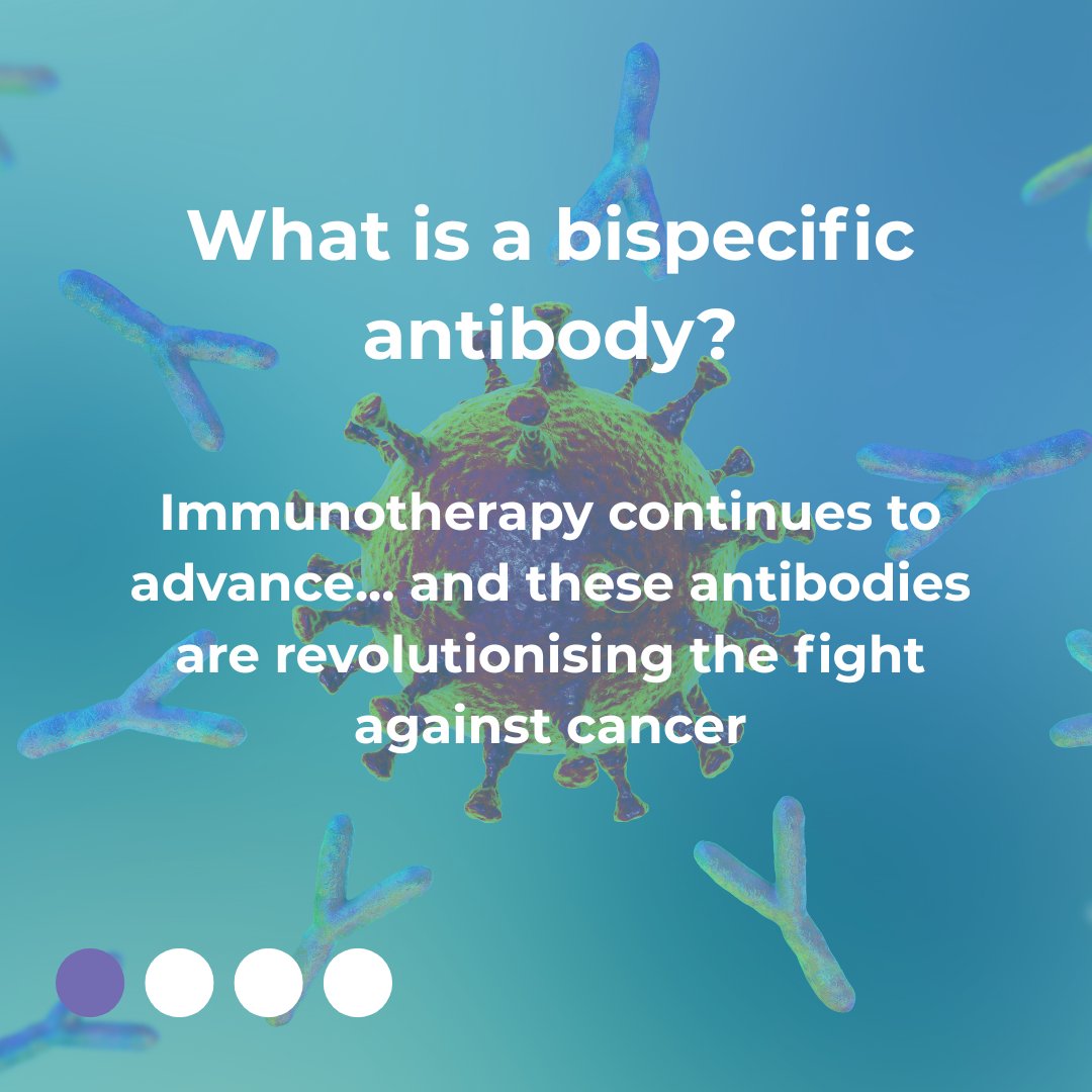 TrimerbodyPh's tweet image. 🔬 What is a bispecific antibody?
In the fight against cancer, immunotherapy has opened new doors.
And within these therapies, bispecific antibodies are revolutionizing the way we attack tumors.
But… what exactly are they?