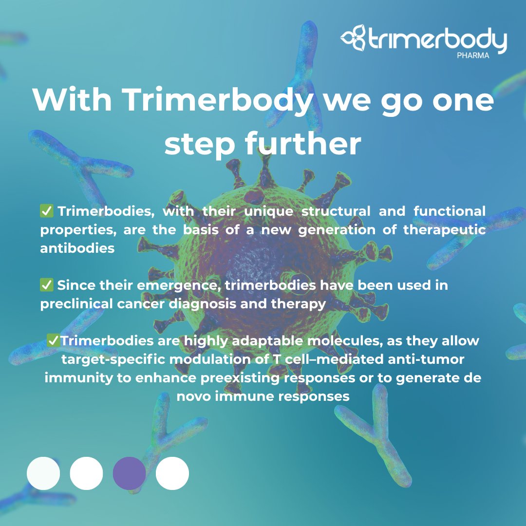TrimerbodyPh's tweet image. 🔬 What is a bispecific antibody?
In the fight against cancer, immunotherapy has opened new doors.
And within these therapies, bispecific antibodies are revolutionizing the way we attack tumors.
But… what exactly are they?