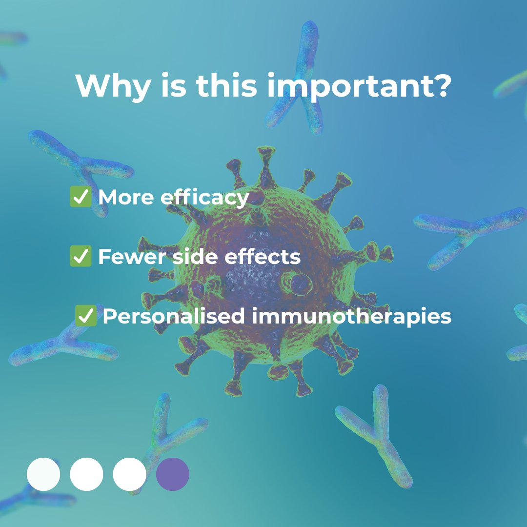 TrimerbodyPh's tweet image. 🔬 What is a bispecific antibody?
In the fight against cancer, immunotherapy has opened new doors.
And within these therapies, bispecific antibodies are revolutionizing the way we attack tumors.
But… what exactly are they?