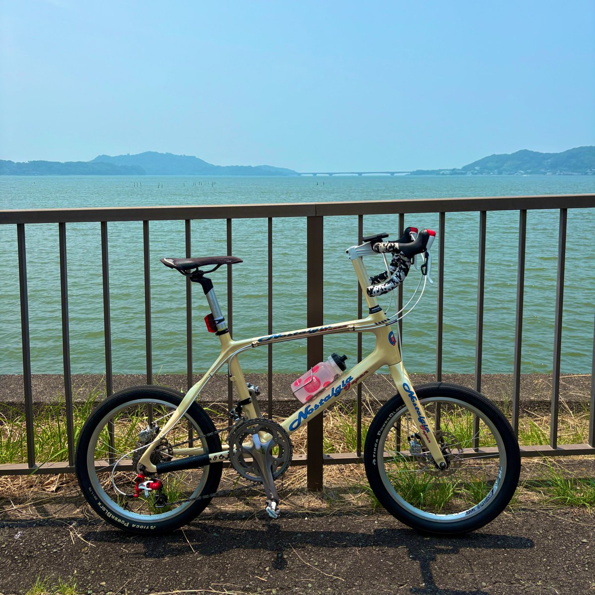 butternuts303's tweet image. 先週初めて浜名湖に行ったけど楽しかった。暑すぎてハマイチじゃなくてハマ半だったけど…一周は干からびてたかな