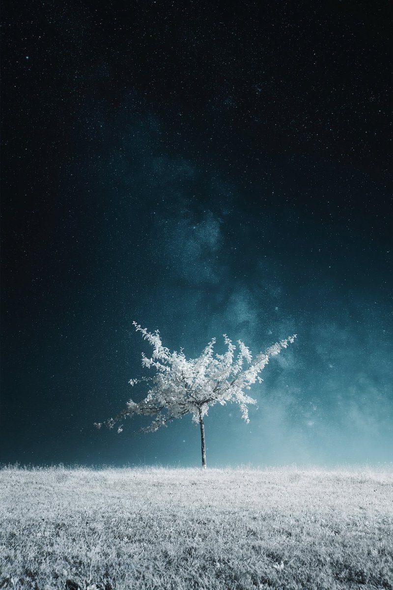 Photography is subtraction, not addition.  

From the noise of a shared reality, you choose what to leave out, keeping only the essential.

It’s a mindset where less reveals more,  
a process that reshapes how you see the world.

Like poetry, where everyone uses the same words