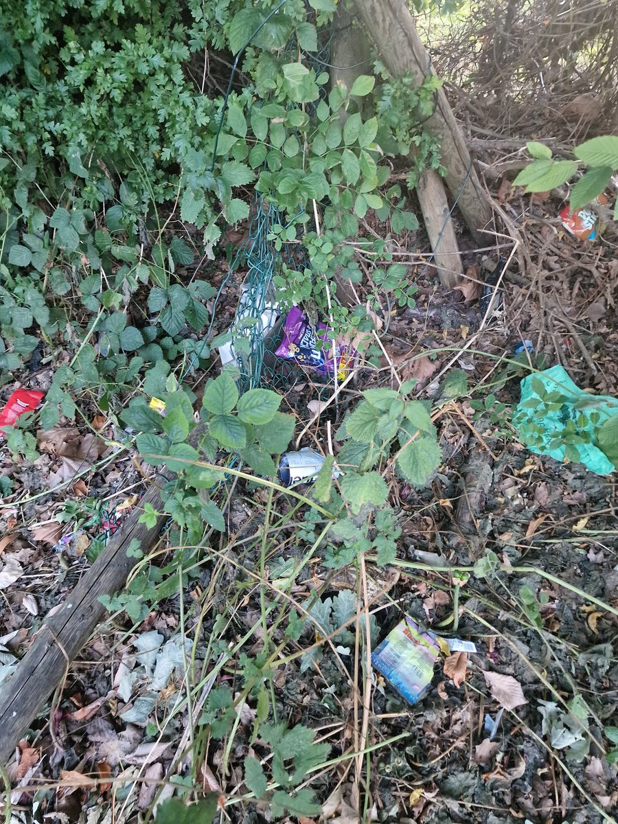 cyclebirdman's tweet image. A small amount of the huge litter problem at King George V playing fields WGC collected and bagged this morning @WelHatCouncil
What's makes it worse is the grass cutting that shreds litter into 100s of small pieces! surely litter pick B4 grass cutting ! ?