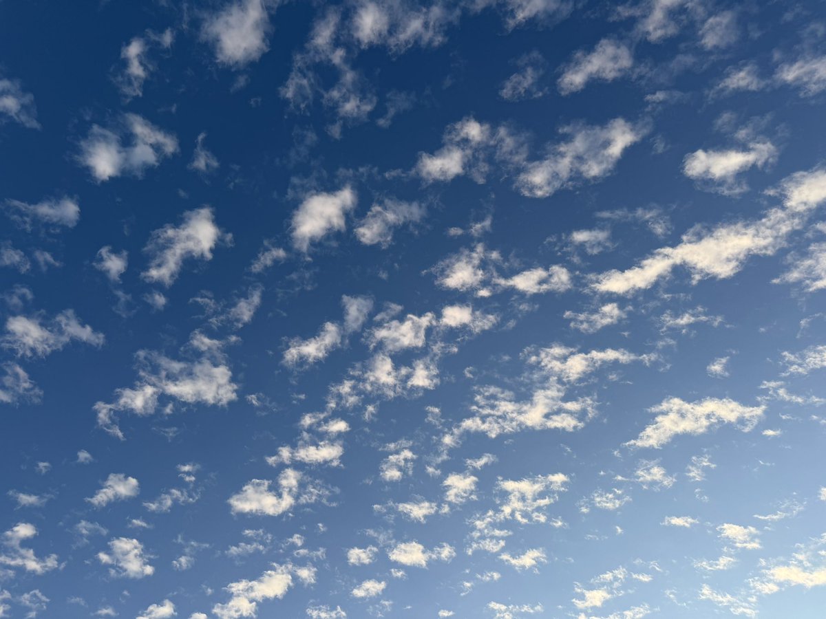 絵に描いたような雲や☁️