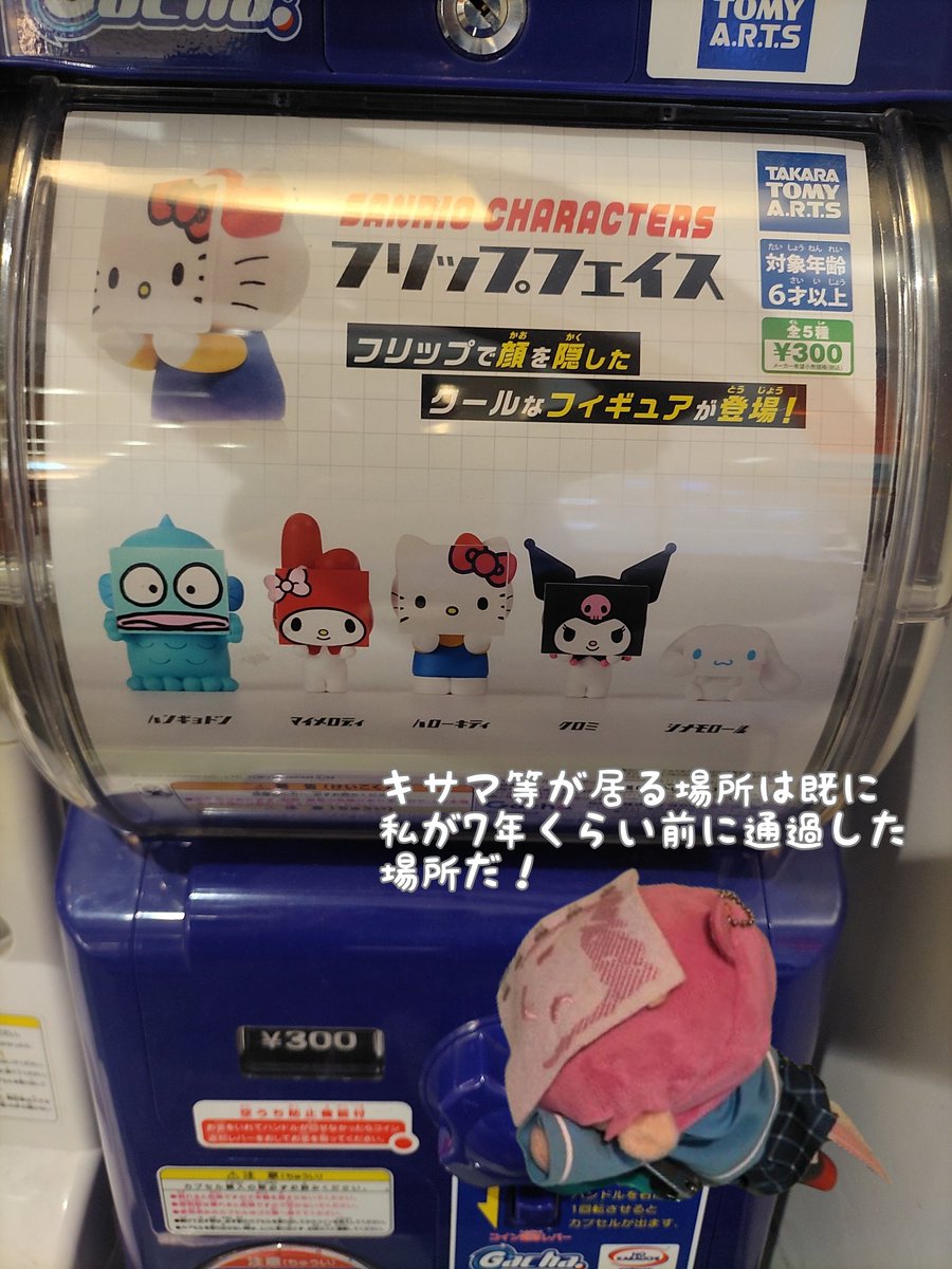 買い物ついでにふらっとカプセルトイコーナー行ったら何か発見。
🛜「璃奈ちゃんボード♪『どやぁ』」
#サンリオ
#虹ヶ咲学園スクールアイドル同好会