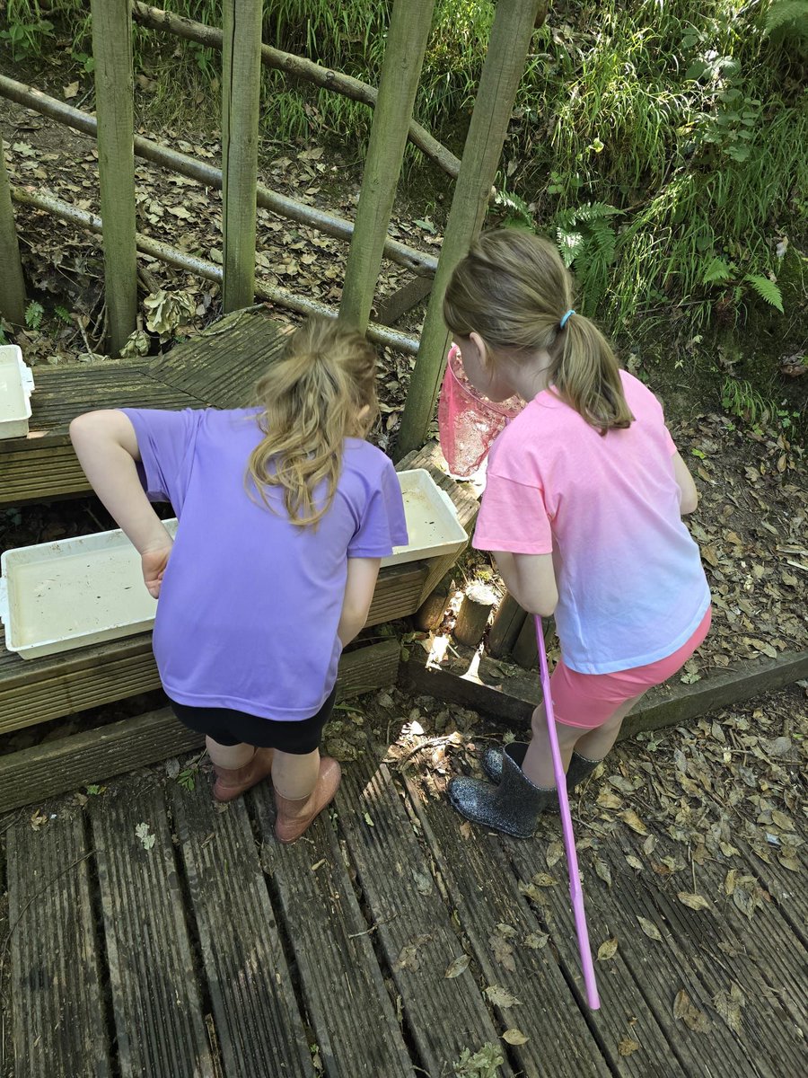 Fordbridge Primary (@fordbridge2013) on Twitter photo 