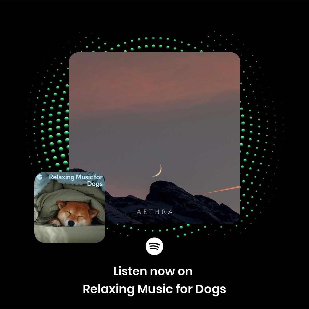 Thanks for featuring Domy Castellano - Aethra 
on "Relaxing Music for Dogs"💚

Find it here ⬇️
shorturl.at/sxxR0

<a href="/Domy_Castellano/">Domy Castellano</a> 
<a href="/ValleyVRecords/">VVR</a> 
<a href="/Spotify/">Spotify</a> 
<a href="/spotifyartists/">Spotify for Artists</a> 

#ambient #valleyviewrecords #editorial #Spotify #playlist