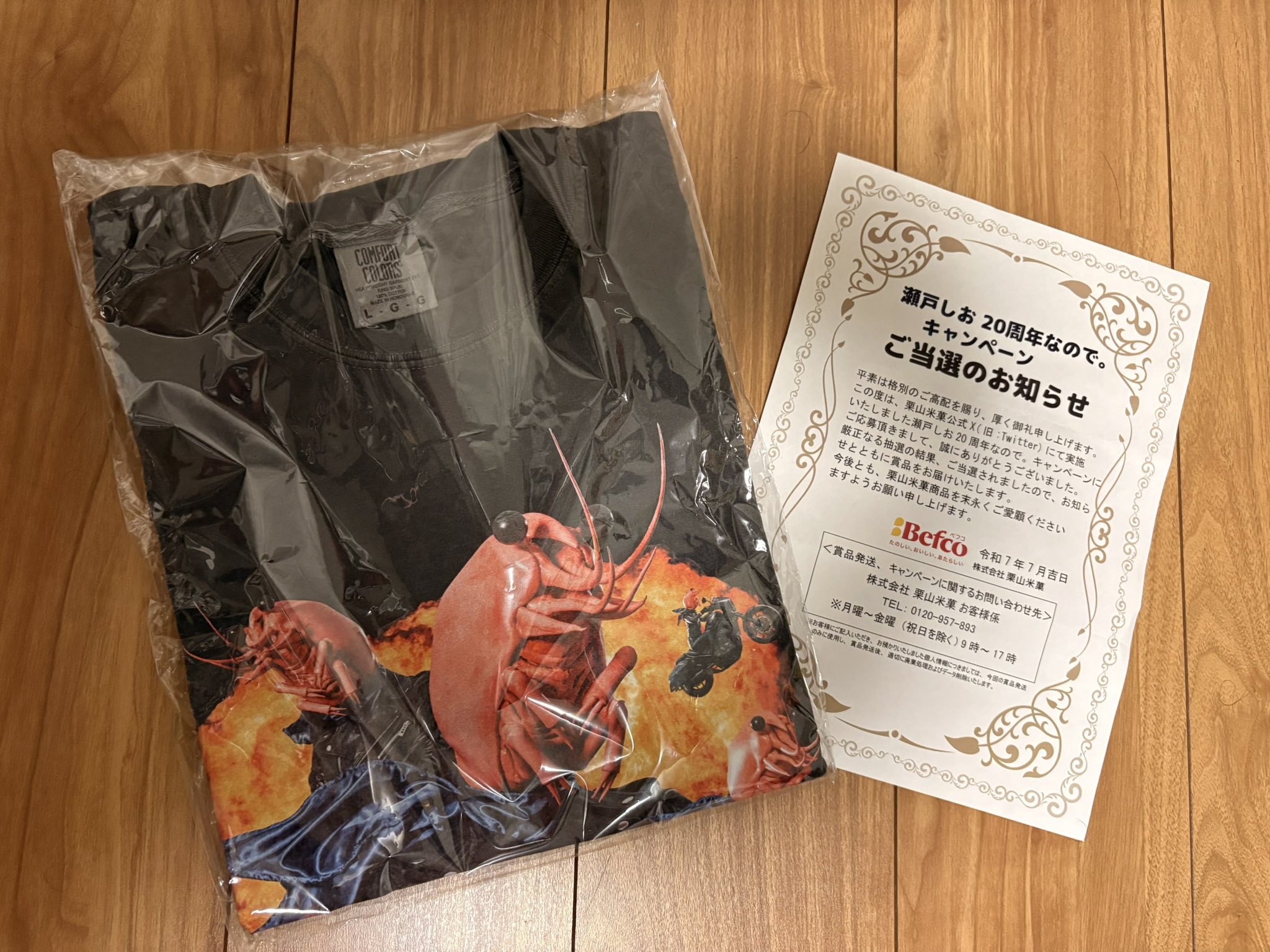 井桁弘恵 瀬戸しお 20周年 キャンペーン 当選品 Tシャツ 井桁弘恵 瀬戸しお 20周年 キャンペーン 当選品 Tシャツ 井桁