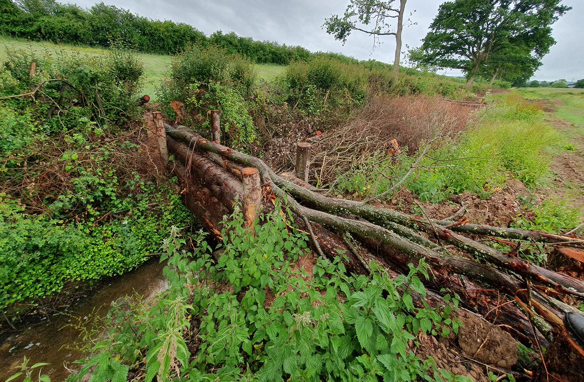 TheICF's tweet image. Are you keen to attend our South West England Member Network event at Farrantshayes in Devon on 24 July? Don't miss out - bookings close in one week on 17 July.
Programme & tickets: charteredforesters.org/event/devon-wo…
Here are some photos of the site attendees will be visiting 👇
