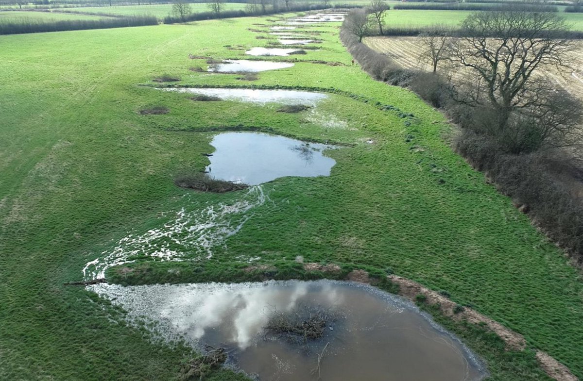 TheICF's tweet image. Are you keen to attend our South West England Member Network event at Farrantshayes in Devon on 24 July? Don't miss out - bookings close in one week on 17 July.
Programme & tickets: charteredforesters.org/event/devon-wo…
Here are some photos of the site attendees will be visiting 👇