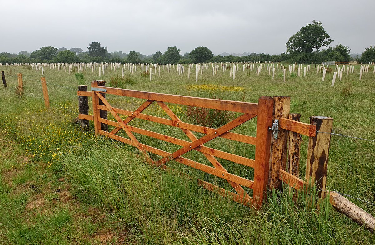 TheICF's tweet image. Are you keen to attend our South West England Member Network event at Farrantshayes in Devon on 24 July? Don't miss out - bookings close in one week on 17 July.
Programme & tickets: charteredforesters.org/event/devon-wo…
Here are some photos of the site attendees will be visiting 👇