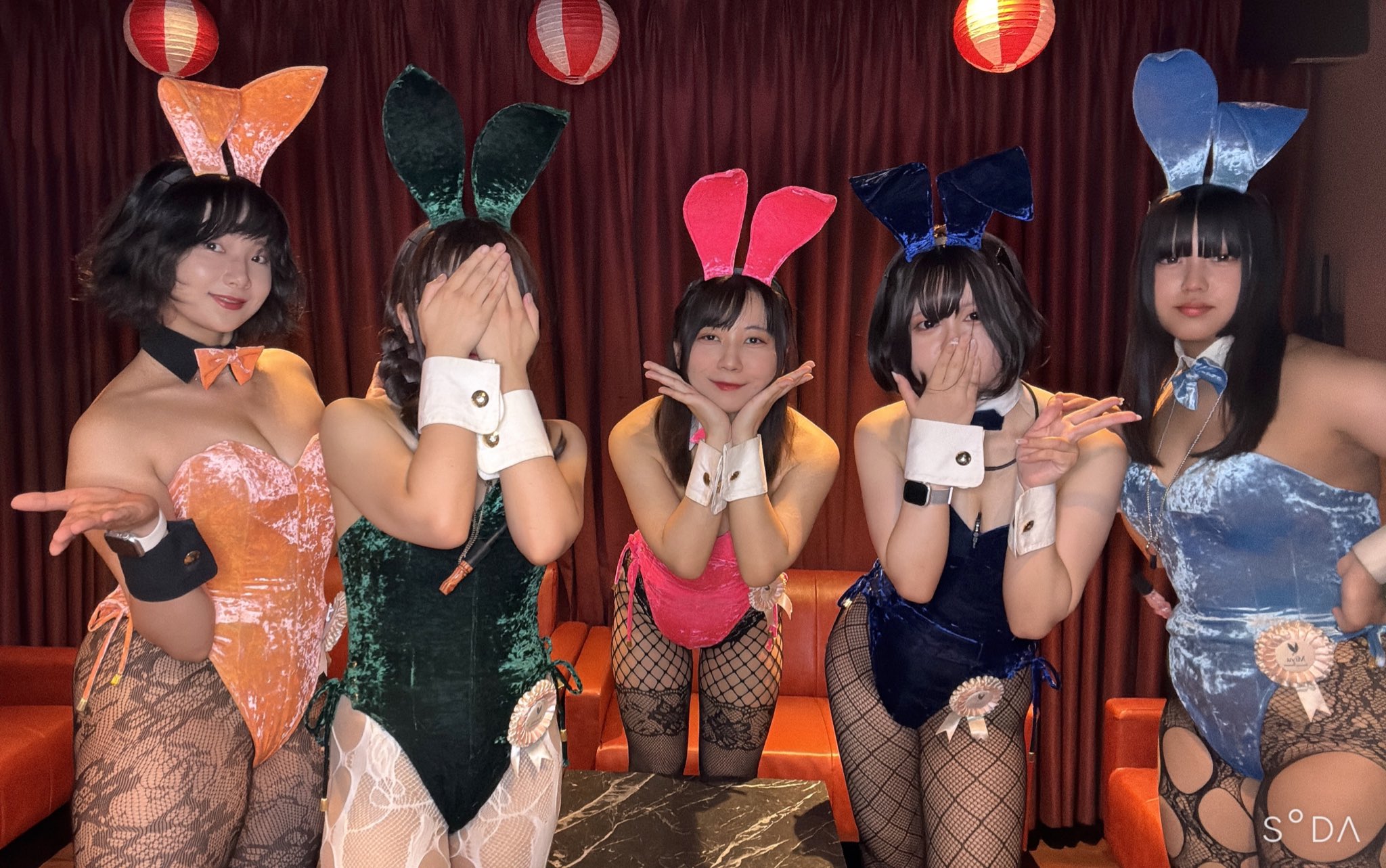 バニー バニーガール 通販 レギュラータイプ アトリエ ダーム