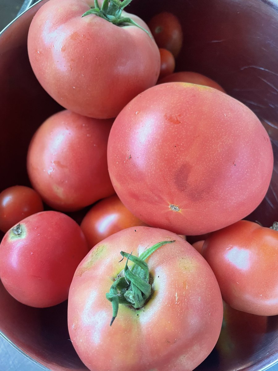 n_m_l_k_tommy's tweet image. トマトトマトトマトーーー！！
🍅❤️🍅❤️🍅❤️🍅❤️🍅❤️✨
ミートソースにしたよん🤤🍝✨✨

#絵文字がしつこい
