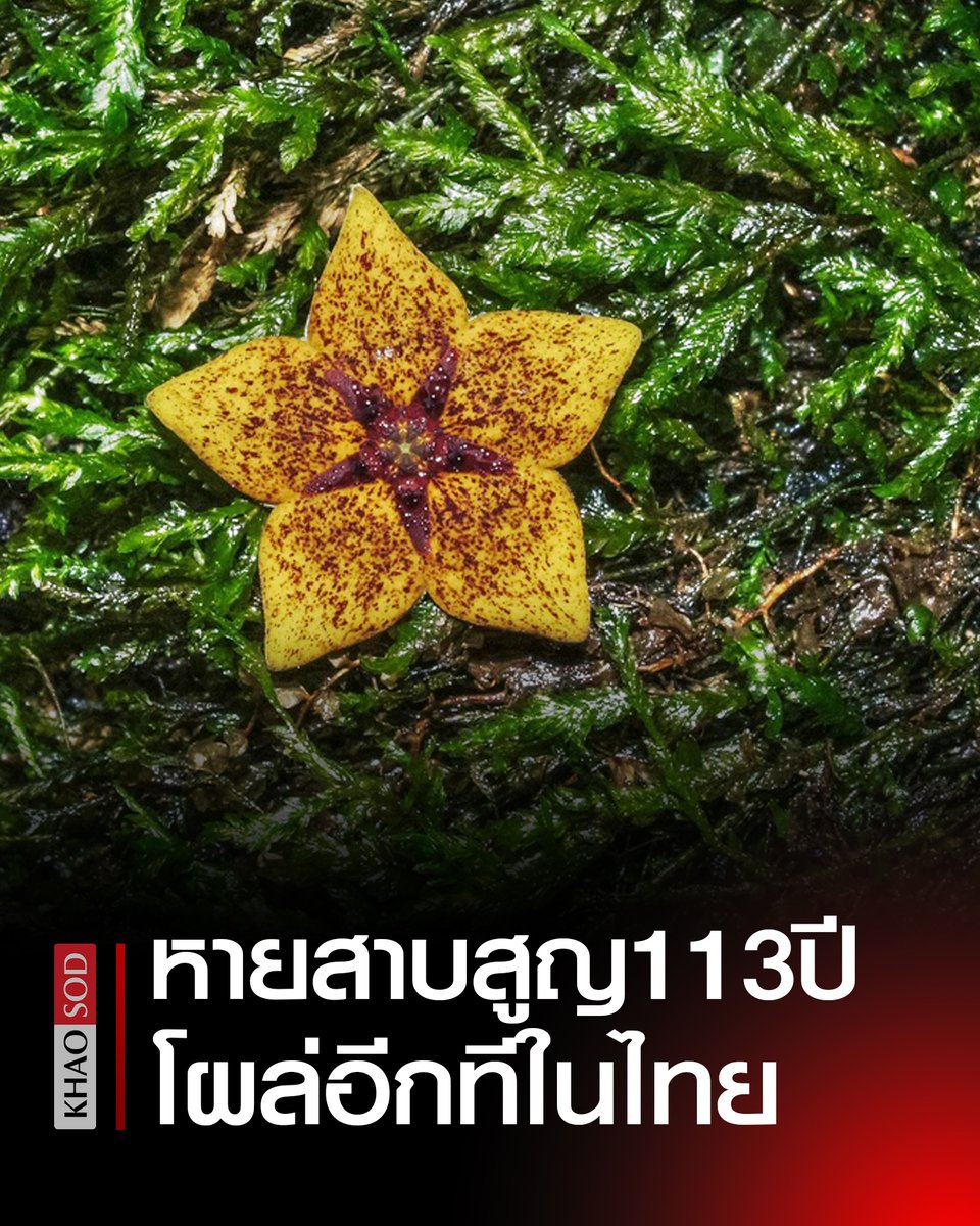 Khaosodonline tweet media