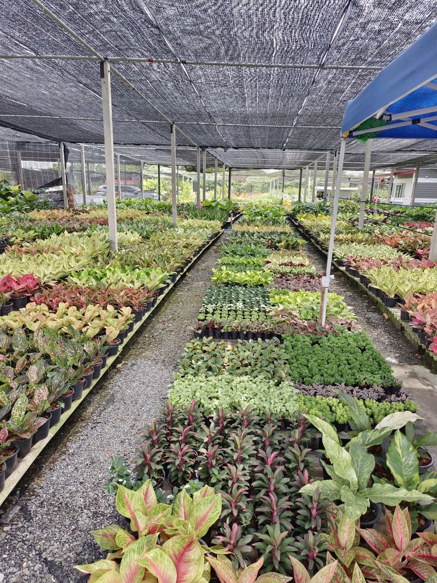 เมื่อคุณกลับบ้าน ชีพจรลงเท้าตลอดเลยงับ เข้าร้านนู้น ออกร้านนี้🤣