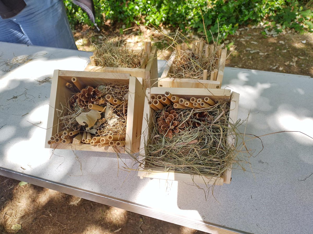 Coventry Park Rangers (@covparkranger) on Twitter photo Yesterday we were at Bishops Ullathorne School running a session for the Holy Cross MAC. We taught the children how to build their own bug hotels, which they took back to put in their schools. <a href="/coventrycc/">Coventry City Council</a> #ranger #coventry #school #MAC Yesterday we were at Bishops Ullathorne School running a session for the Holy Cross MAC. We taught the children how to build their own bug hotels, which they took back to put in their schools. <a href="/coventrycc/">Coventry City Council</a> #ranger #coventry #school #MAC