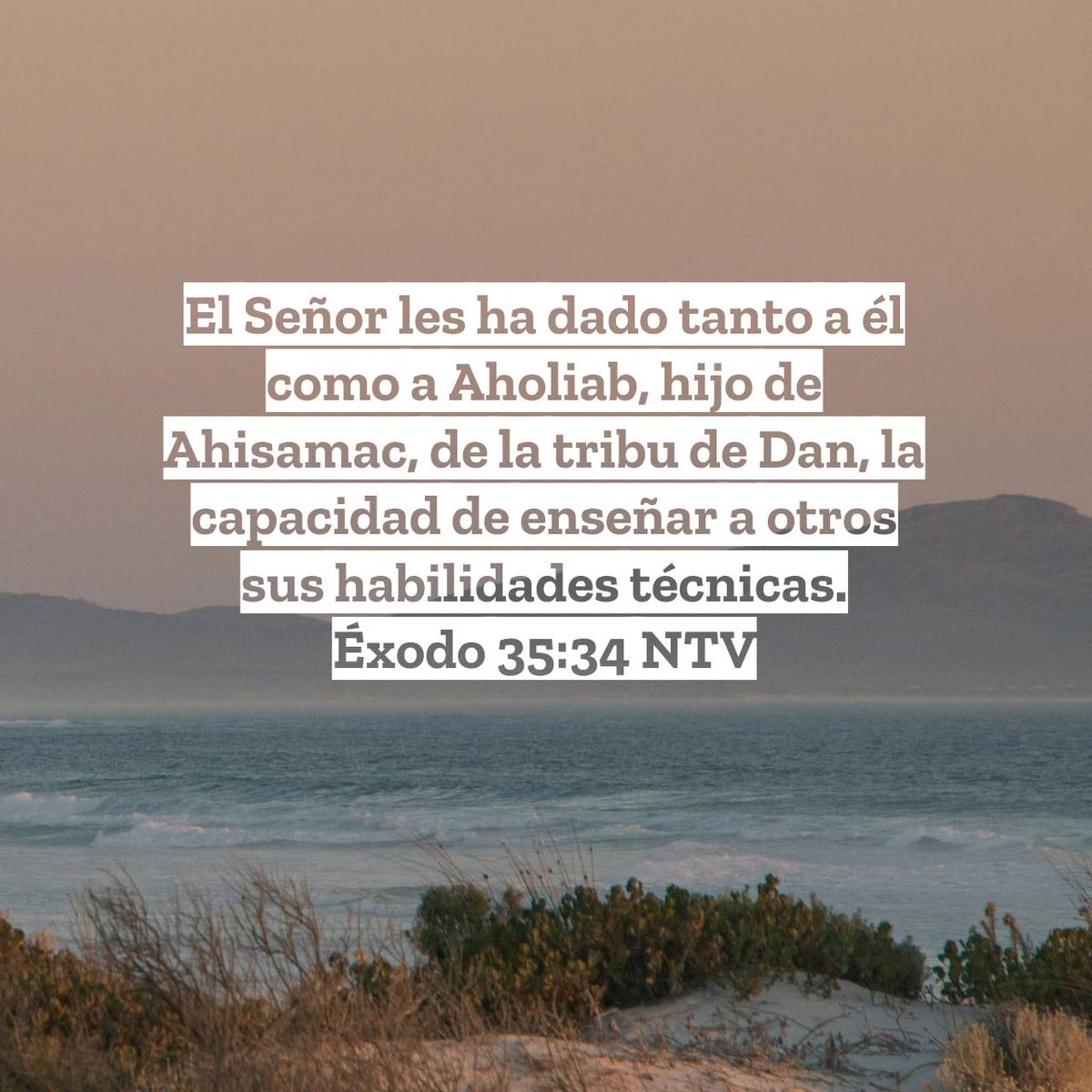 Entre los dones que da el Señor, el de enseñar no suele ser valorado como se debiera. 
Enseñar es mostrar generosidad, respeto y amor.
Enseñar es capacitar y dignificar.
Enseñar eleva tanto al maestro como al aprendiz.
Enseñar es cumplir con la voluntad del Señor.
Éxodo 35 #rpsp